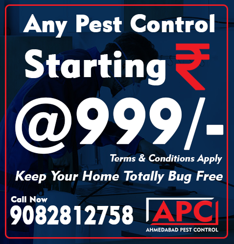 ahmedabad-pest-control